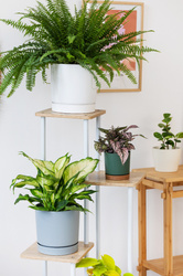 Kwietnik metalowy na kwiaty stojący wysoki 5 poziomów duży 106cm XL Palace, biały