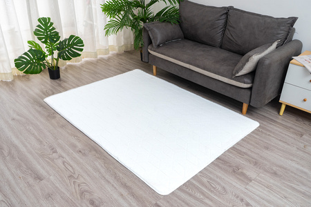 Dywan Rabbit 3D pluszowy miękki jedwabisty futro królika 80x150, biały