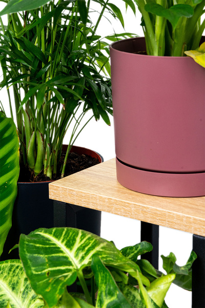 PLAZA 4-tier flowerbed - Oak