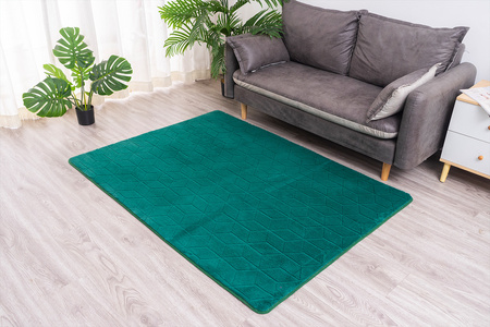 Dywan Rabbit 3D pluszowy miękki jedwabisty futro królika 160x230, zielony