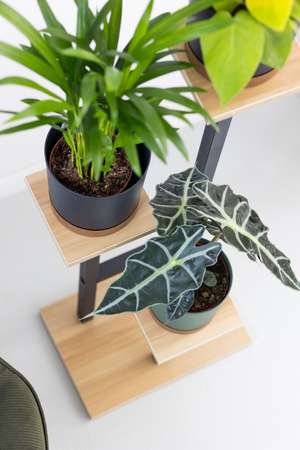 Kwietnik PEAK stojący metalowy stojak na kwiaty rośliny regał 83,5cm, czarny