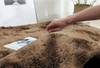 Shaggy Ombre Strado 150x150 Round Carpet by OmbreCoffee (Brown)