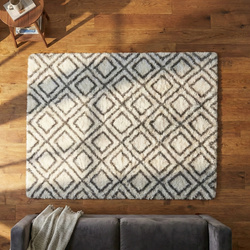 Dywan Shaggy Decor 100x150 cm, biały - miękki, przyjemny w dotyku, do salonu i sypialni
