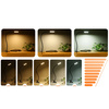 LED desk lamp with clip - DML5 - Black