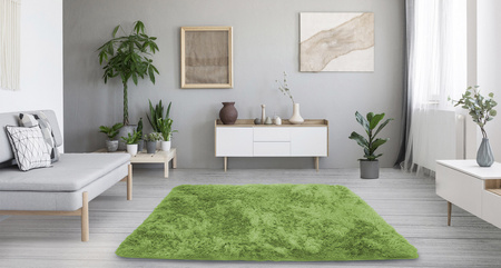 Shaggy Strado carpet 60x90 GreenGrass (Green)