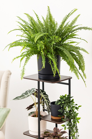 Duży stojący kwietnik 106cm metalowy 6 poziomów na kwiaty regał loft MONDO, czarny