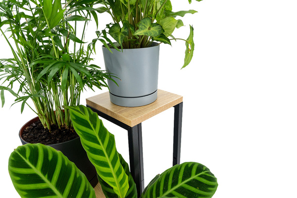 Kwietnik 70 cm stojący metalowy stojak na kwiaty 4 poziomy półki loft Plaza