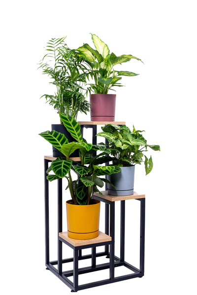 PLAZA 4-tier flowerbed - Oak