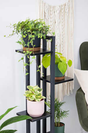 Kwietnik stojący metalowy stojak na kwiaty rośliny na 6 donic TOWER 112,5cm, czarny