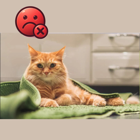 Strado Podkładki antypoślizgowe do dywanu 16 sztuk