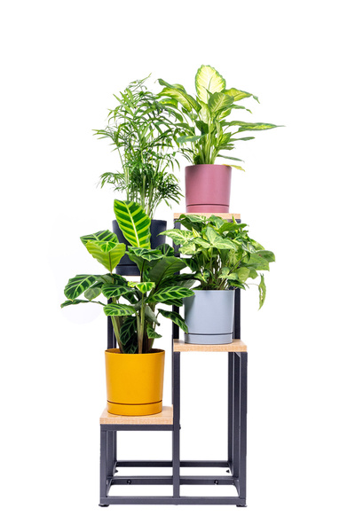 PLAZA 4-tier flowerbed - Oak