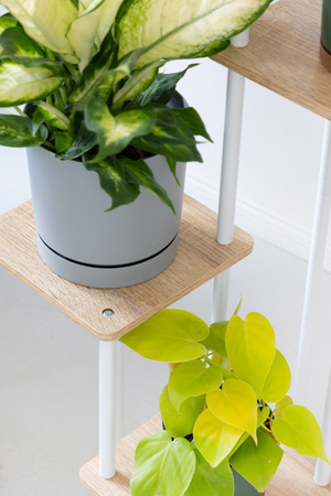 Kwietnik metalowy na kwiaty stojący wysoki 5 poziomów duży 106cm XL PALACE, biały