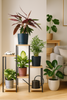 PANORAMA 6 level metal standing flower stand - elegant flower and plant stand OAK