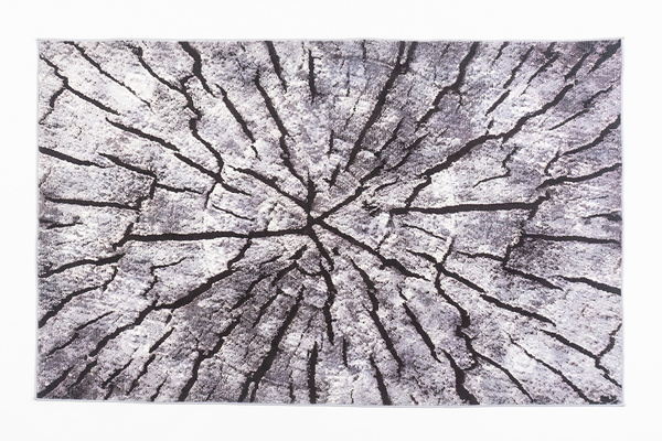 Dywan Novo 160x200 cm - Szary Pień - miękki do salonu i sypialni