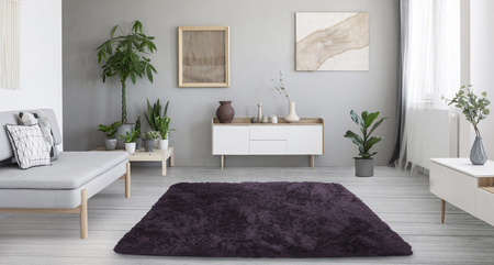 Dywan pokojowy Shaggy Strado 140x200 Grey-Purple (Szary-fiolet)