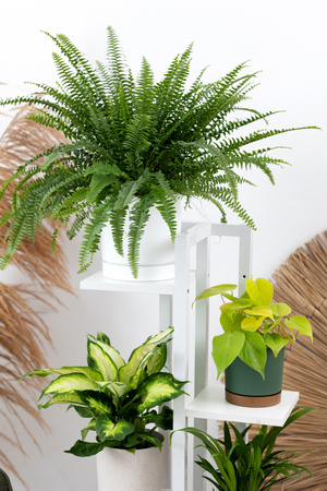 Kwietnik stojący metalowy stojak na kwiaty rośliny 6 donic TOWER 112,5cm, biały