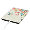 Etui graficzne Kindle Paperwhite 6/ Colorsoft/ Signature Edition- Hummingbird
