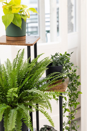 Kwietnik metalowy na kwiaty stojący wysoki 5 poziomów duży 106cm XL PALACE, czarny