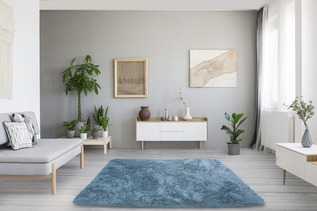 Dywan Shaggy antypoślizgowy nowoczesny salon miękki puszysty 120x170, jasnosrebrny