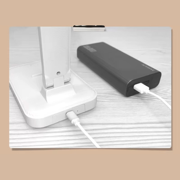 LED Desk Lamp - D20B (White)