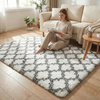 Dywan do salonu shaggy DECOR antypoślizgowy miękki puszysty modny 120x170 White Lantern