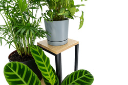 Kwietnik 70 cm stojący metalowy stojak na kwiaty 4 poziomy półki loft Plaza
