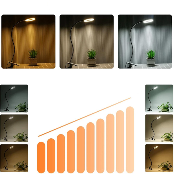 Lampa biurkowa LED z klipsem DML5, czarny