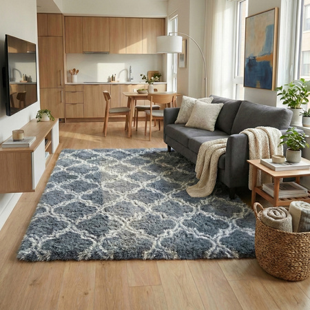 Dywan do salonu shaggy DECOR antypoślizgowy miękki puszysty modny 120x170, srebrny