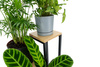 PLAZA 4-tier flowerbed - Oak