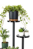 KWIETNIK FINO stojak metalowy na kwiaty rośliny na donice 4 poziomy 100 cm, czarny