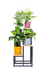 PLAZA 4-tier flowerbed - Oak