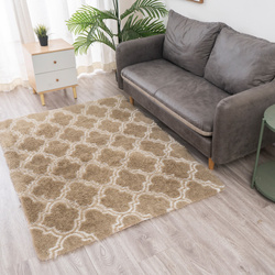 Dywan Shaggy Decor 160x200 cm, khaki - miękki, przyjemny w dotyku, do salonu i sypialni
