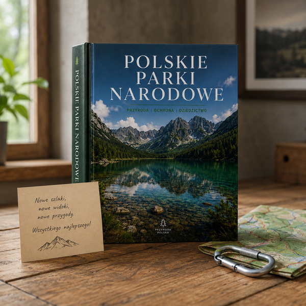 Sejf książka metalowa skrytka kasetka na pieniądze klucze biżuterię zegarki - Polskie Parki