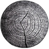 NOVO Strado modern tree trunk carpet for living room grey pattern Grey Trunk 90x90 cm