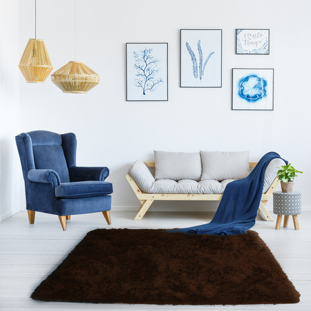 Dywan Shaggy antypoślizgowy nowoczesny salon miękki puszysty 200x300, ciemnobrązowy