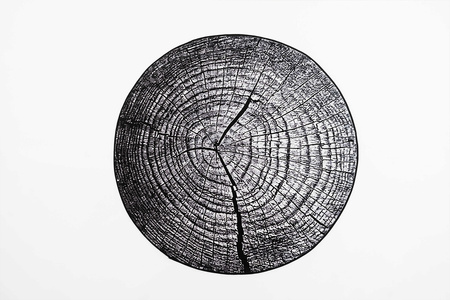 Dywan NOVO Strado nowoczesny pień drzewa do salonu szary wzór Szary Pień 90x90 cm