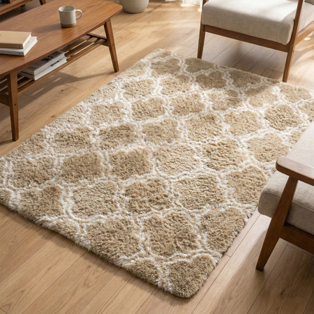 Dywan do salonu shaggy DECOR antypoślizgowy miękki puszysty modny 200x300, khaki