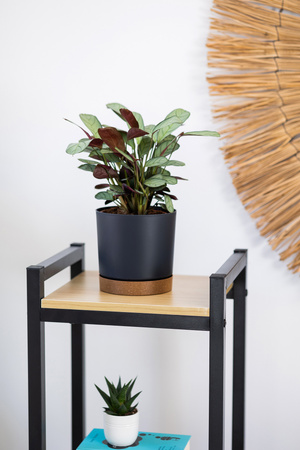 Kwietnik stojący metalowy stojak na kwiaty rośliny loft Vertico 105 cm