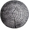 Szary Pień \ 90 x 90 cm