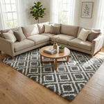 Dywan do salonu shaggy DECOR antypoślizgowy miękki puszysty modny 160x220, czarny