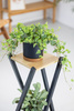 Kwietnik stojący metalowy stojak na kwiaty rośliny loft 2 poziomy Nexus