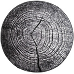NOVO Strado modern tree trunk carpet for living room grey pattern Grey Trunk 160x160 cm