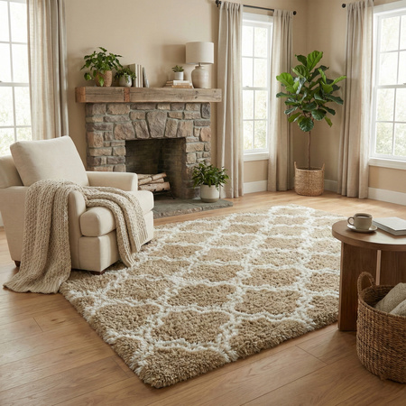 Dywan do salonu shaggy DECOR antypoślizgowy miękki puszysty modny 200x300, khaki